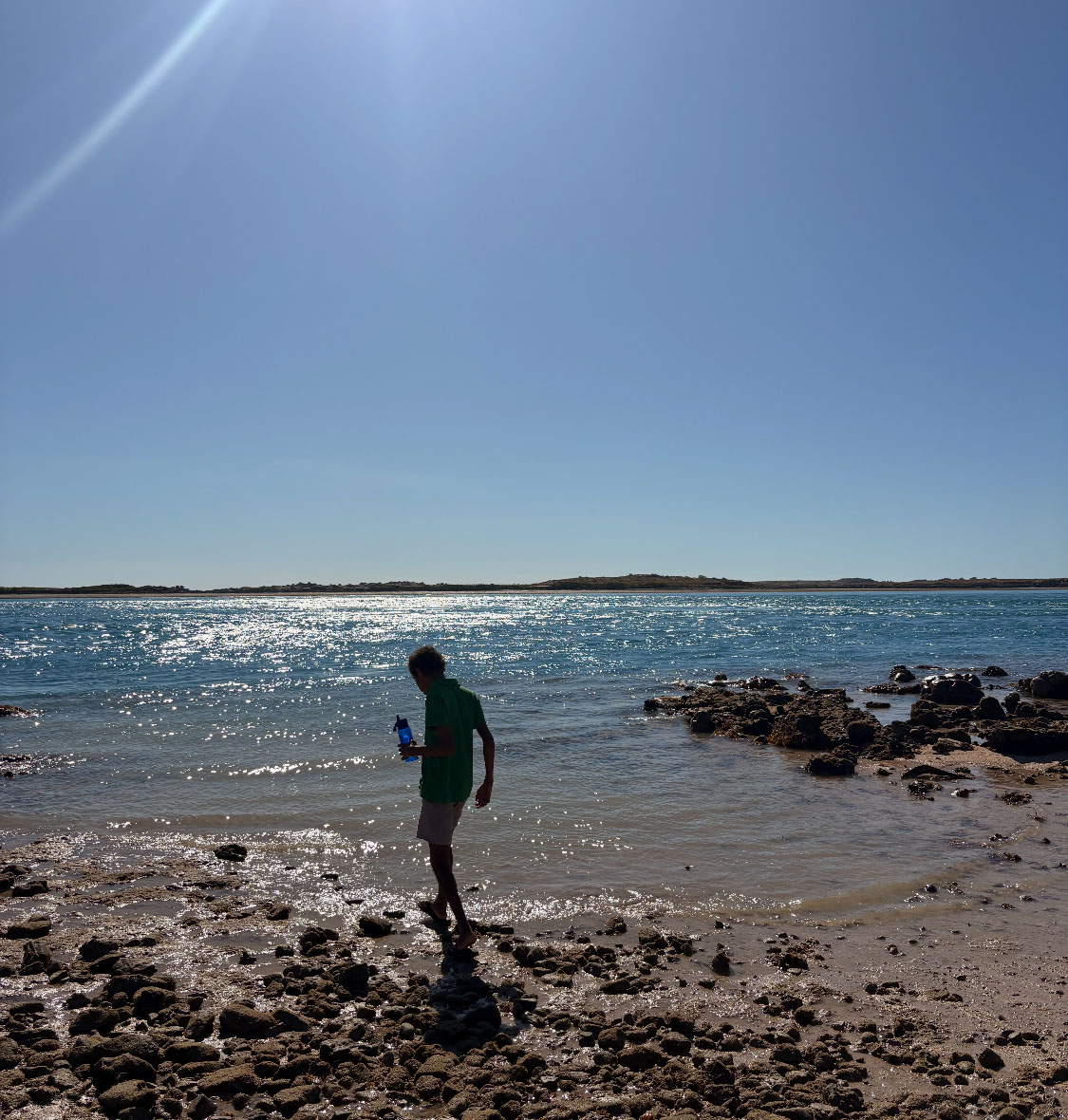 Resident of NWSIL exploring the reef