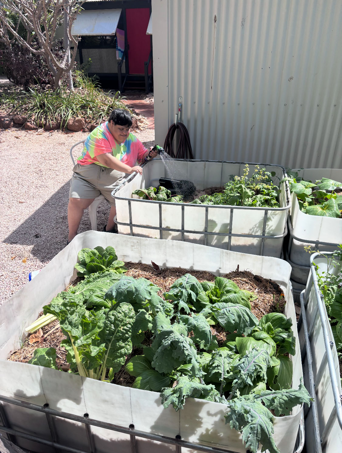 Resident of NWSIL growing vegetables