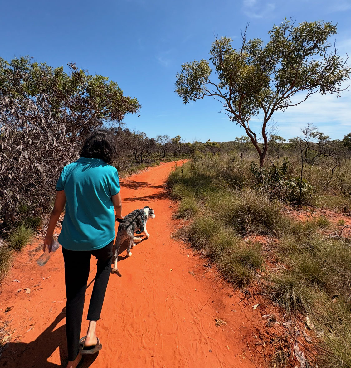 Resident of NWSIL walking along bush track